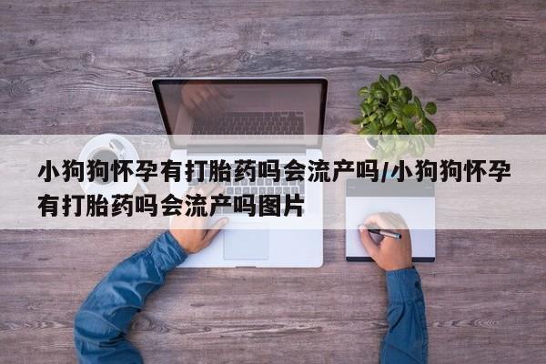 打胎药在线付款小狗狗怀孕有打胎药吗会流产吗/小狗狗怀孕有打胎药吗会流产吗图片